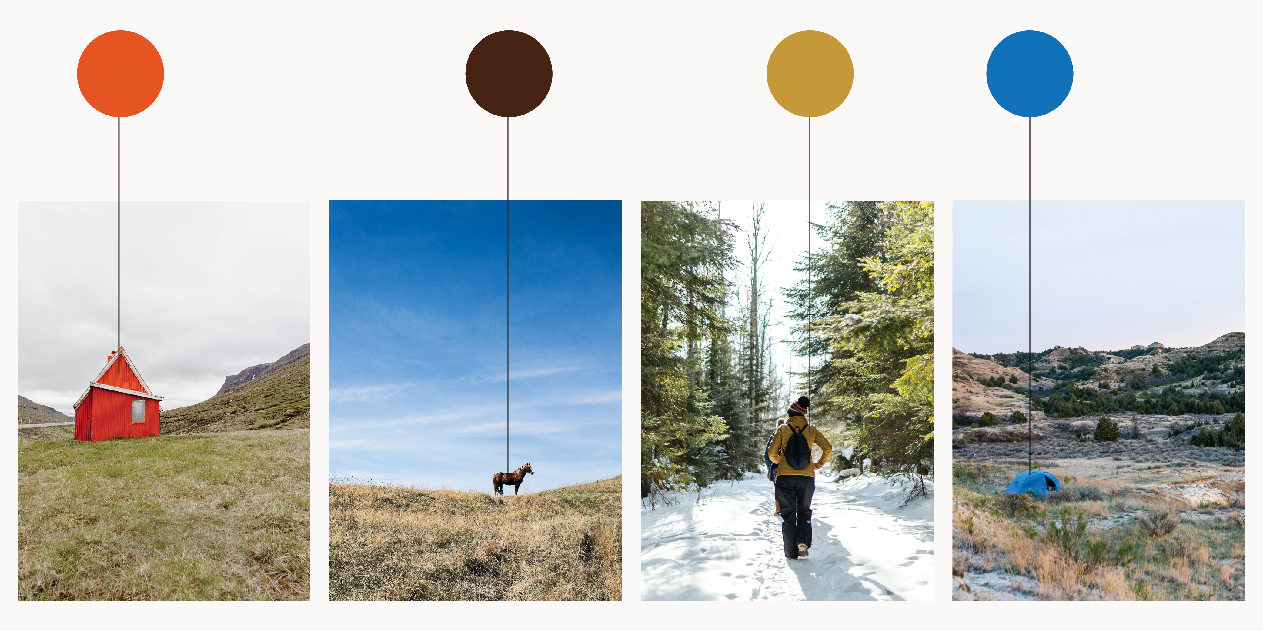 colors selected from four photos
