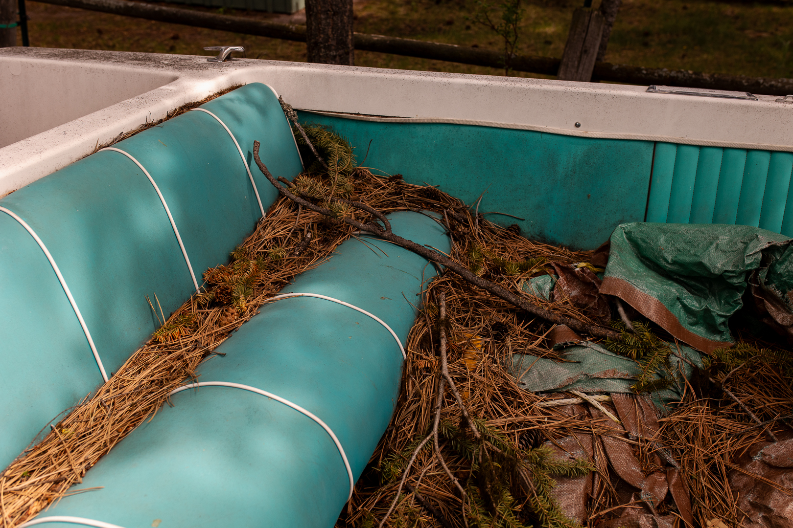 boat seat covered in pine needles